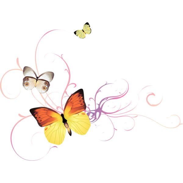 Butterflies Thumbnail