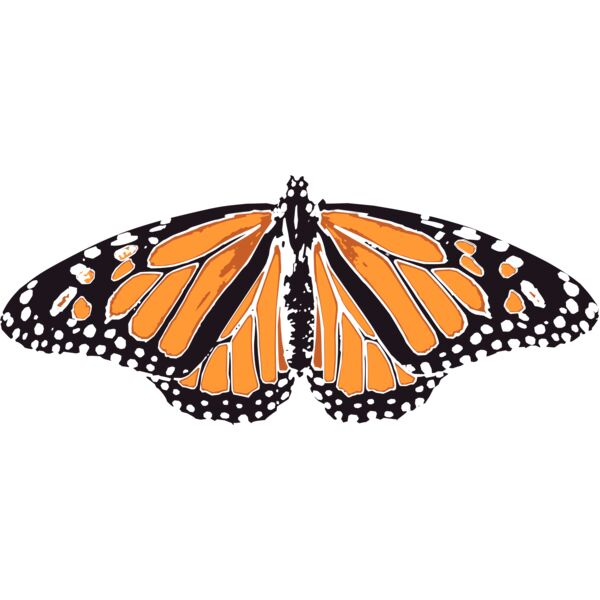 Butterflies24 Thumbnail