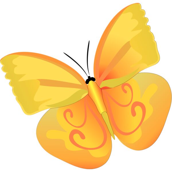 Butterflies33 Thumbnail