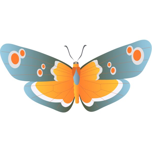 Butterflies76 Thumbnail