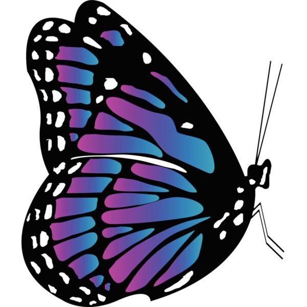 Butterflies57 Thumbnail