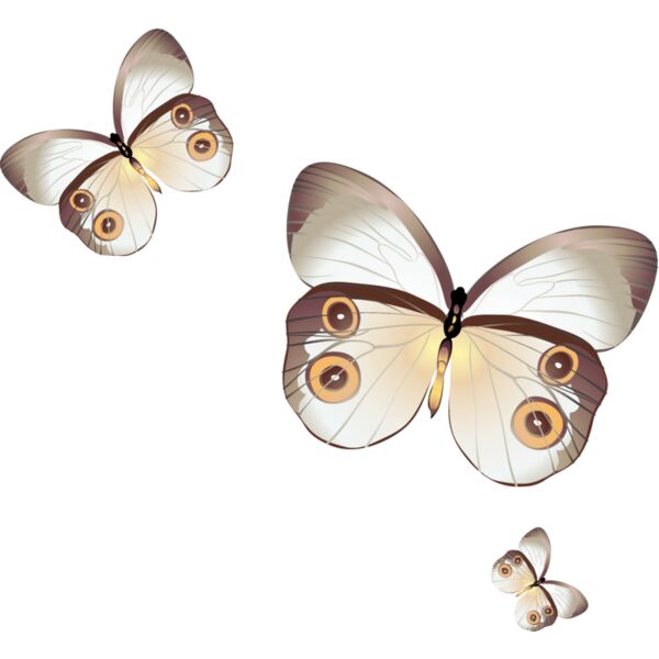 Butterflies15 Thumbnail