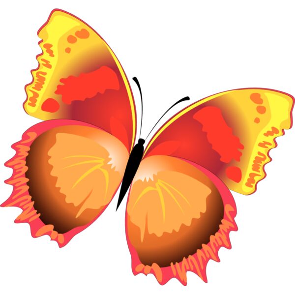 Butterflies35 Thumbnail