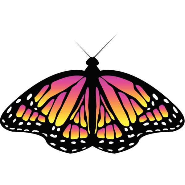 Butterflies69 Thumbnail