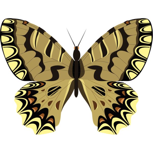 Butterflies83 Thumbnail