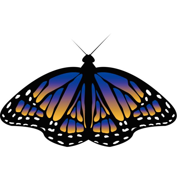 Butterflies68 Thumbnail