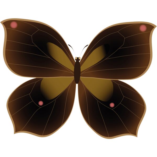 Butterflies52 Thumbnail