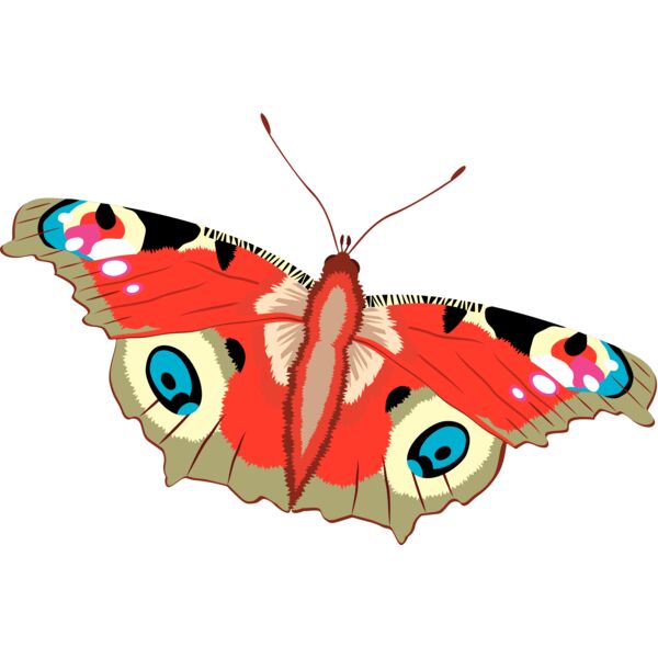 Butterflies47 Thumbnail