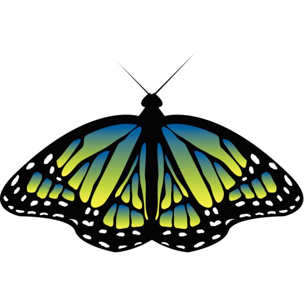 Butterflies72 Thumbnail