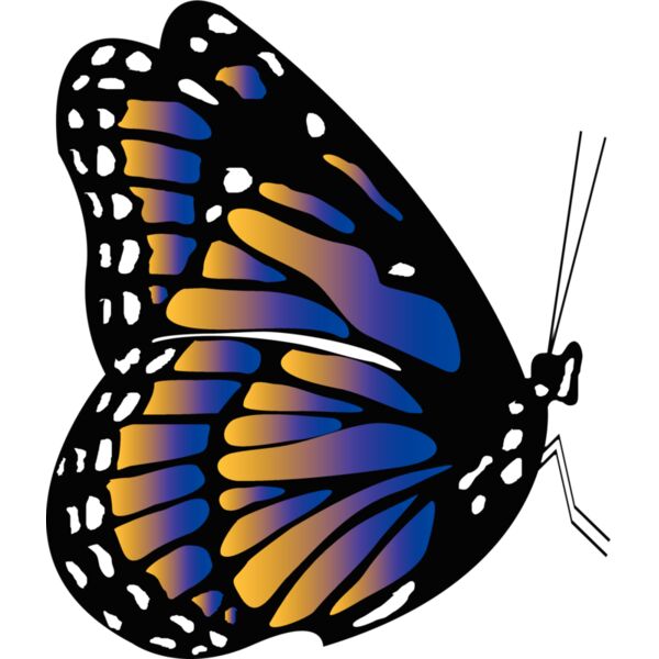 Butterflies58 Thumbnail