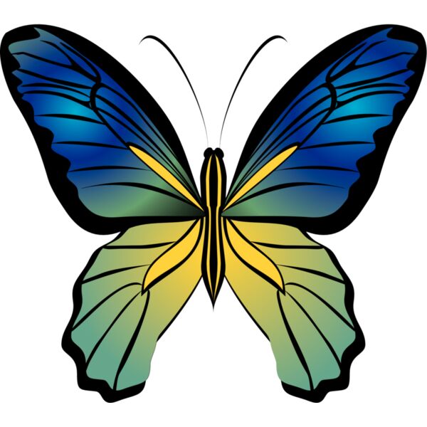 Butterflies37 Thumbnail