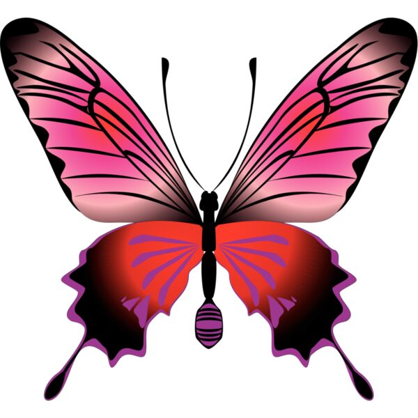 Butterflies41 Thumbnail