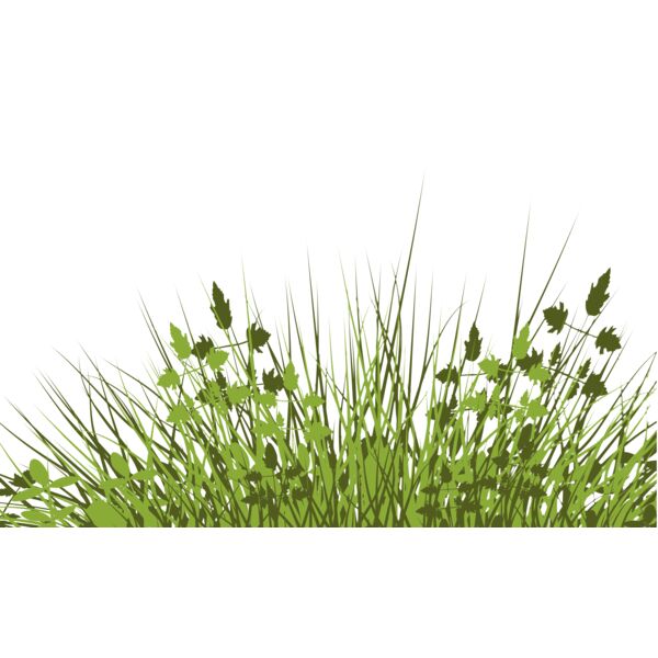 Grass1 Thumbnail