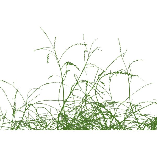 Grass3 Thumbnail
