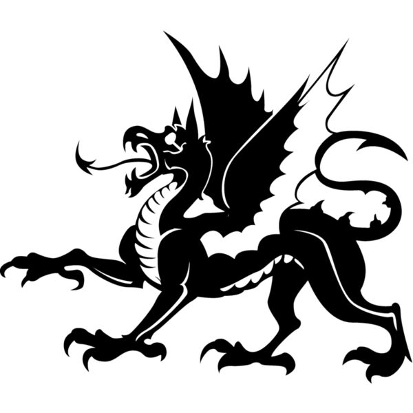 Dragons101 Thumbnail