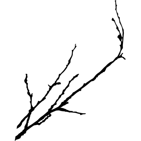 Eastern117 Thumbnail