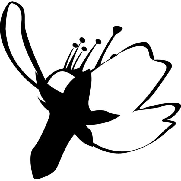 Eastern116 Thumbnail