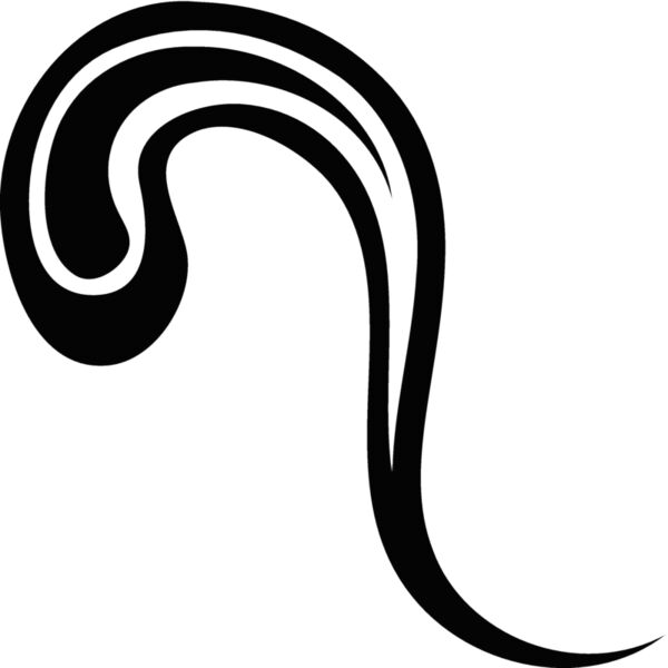 Squiggles106 Thumbnail