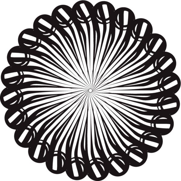 Raylight48 Thumbnail