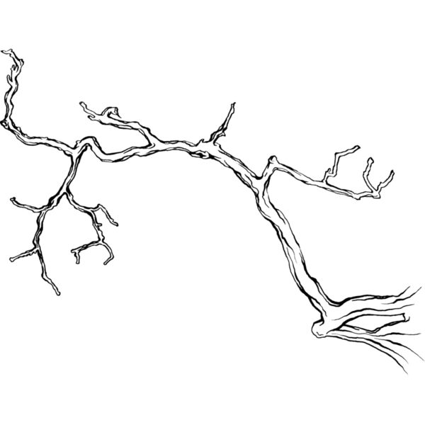 Branches108 Thumbnail
