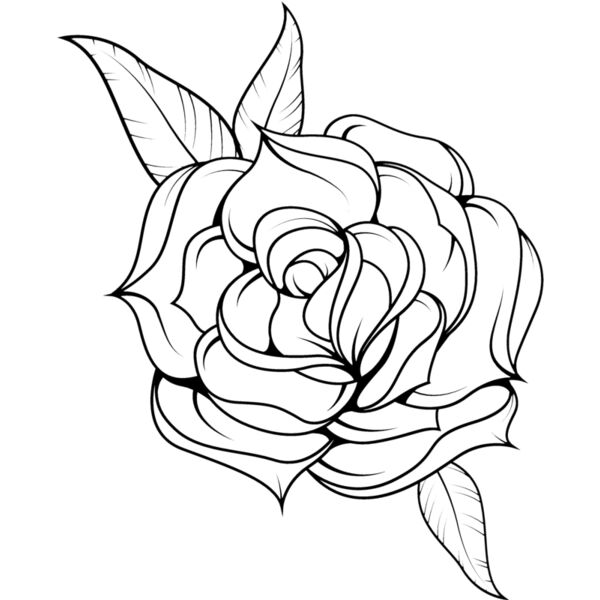 Flowers117 Thumbnail