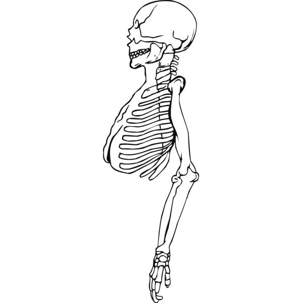 Skeletons101 Thumbnail