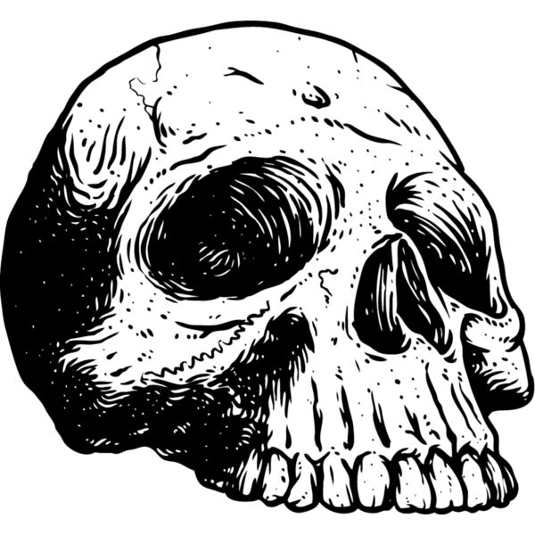 Skulls173 Thumbnail
