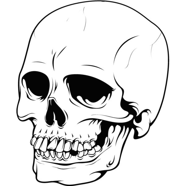 Skulls156 Thumbnail