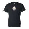DryBlend® T-Shirt Thumbnail