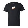 DryBlend® T-Shirt Thumbnail
