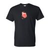 DryBlend® T-Shirt Thumbnail