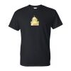 DryBlend® T-Shirt Thumbnail